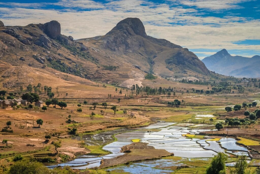 Ricefields of Madagascar