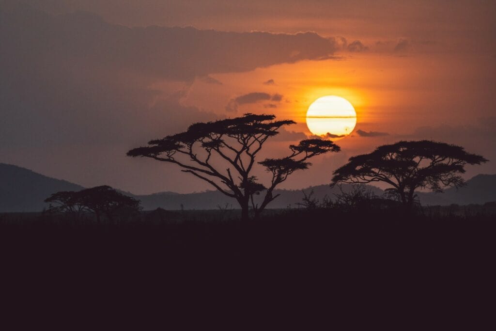 Tanzania